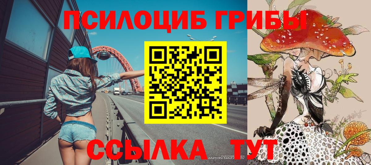 Галлюциногенные грибы прущие грибы Богданович