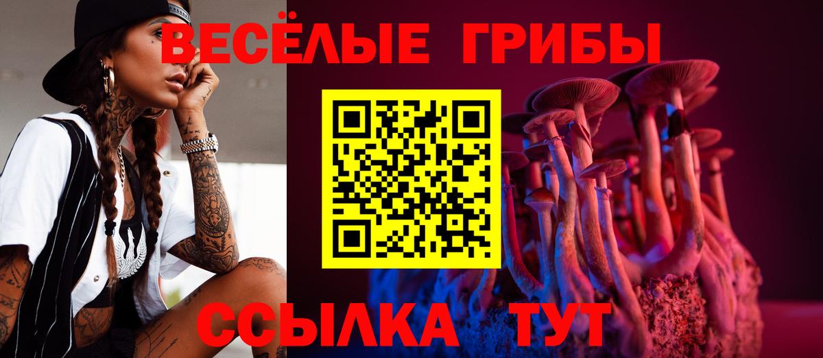 Богданович  Галлюциногенные грибы Psilocybe  Вход с VPN  Галлюциногенные грибы Psilocybine cubensis 